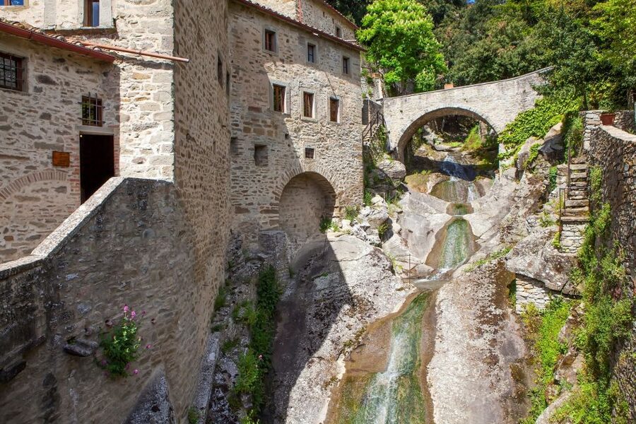 From Florence: Private Day Trip to Assisi and Cortona - Lunch and free time in Assisi