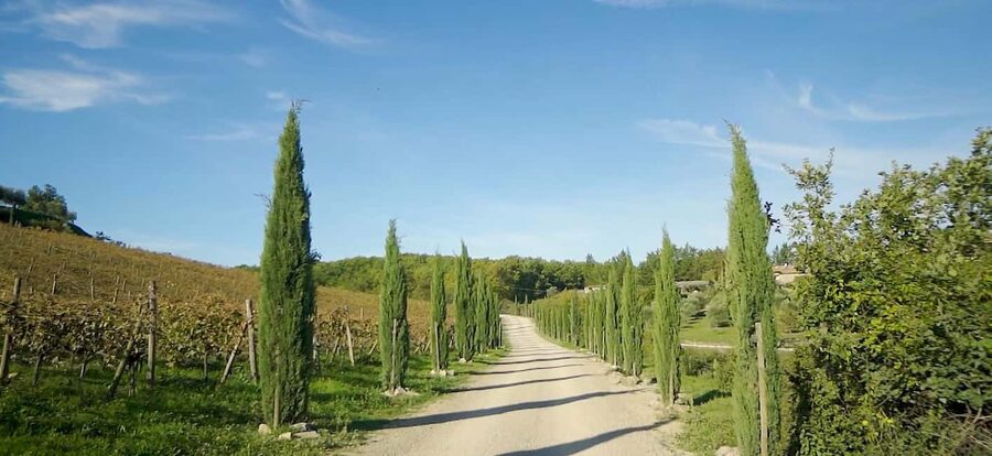 From Florence: Private Half-Day Chianti Tour & Wine Tasting - Key points at a glance