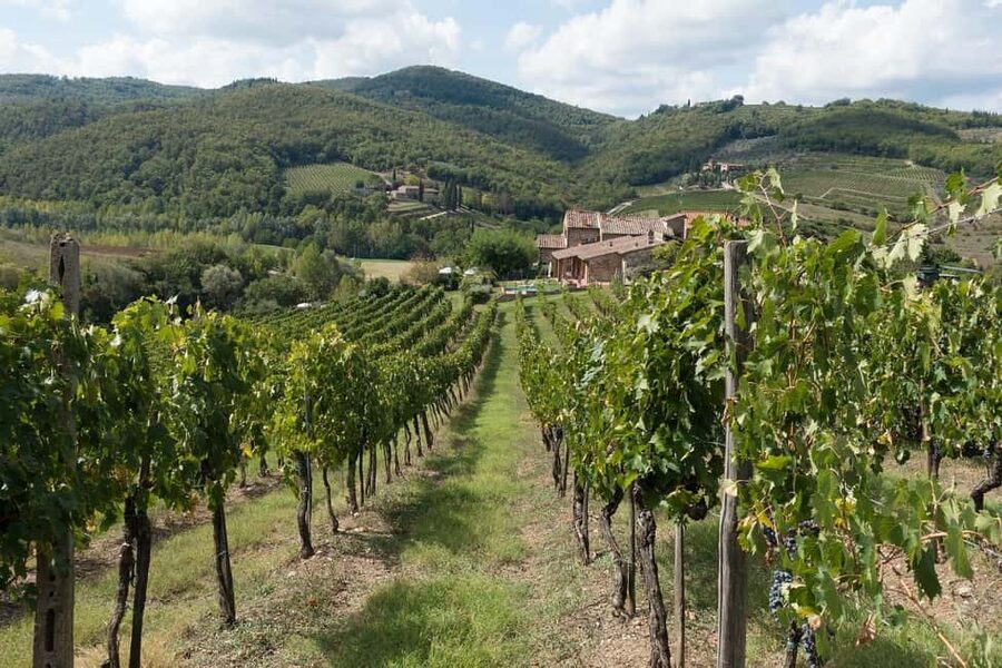 From Florence: Private Half-Day Chianti Tour & Wine Tasting - Inside the historic cellars