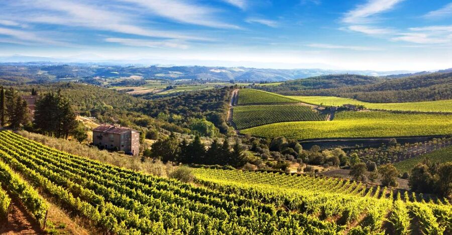 From Florence: Private Half-Day Chianti Tour & Wine Tasting - What the driver and winery host each do