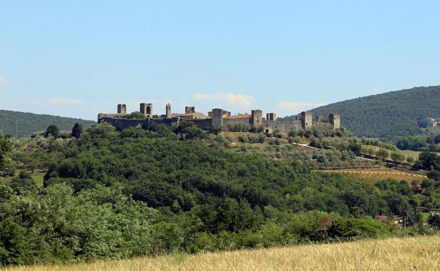From Florence: Private Siena, San Gimignano + wine tasting - Key points to know before booking
