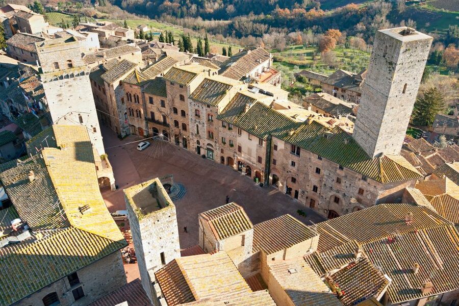From Florence: PRIVATE Trip to Pisa, San Gimignano, & Siena - What your driver adds to the day