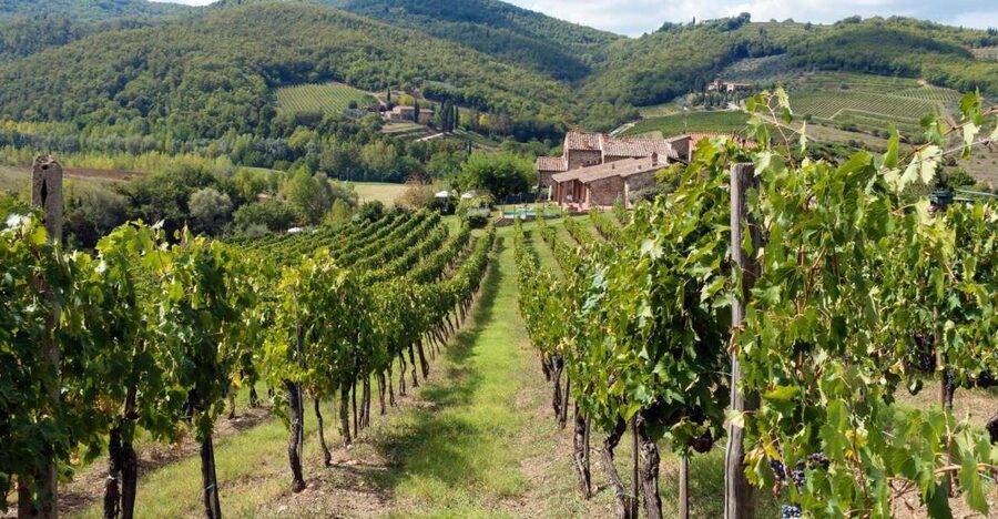 From Florence: Private Wine Tasting Tour in Chianti - Booking details worth keeping in mind