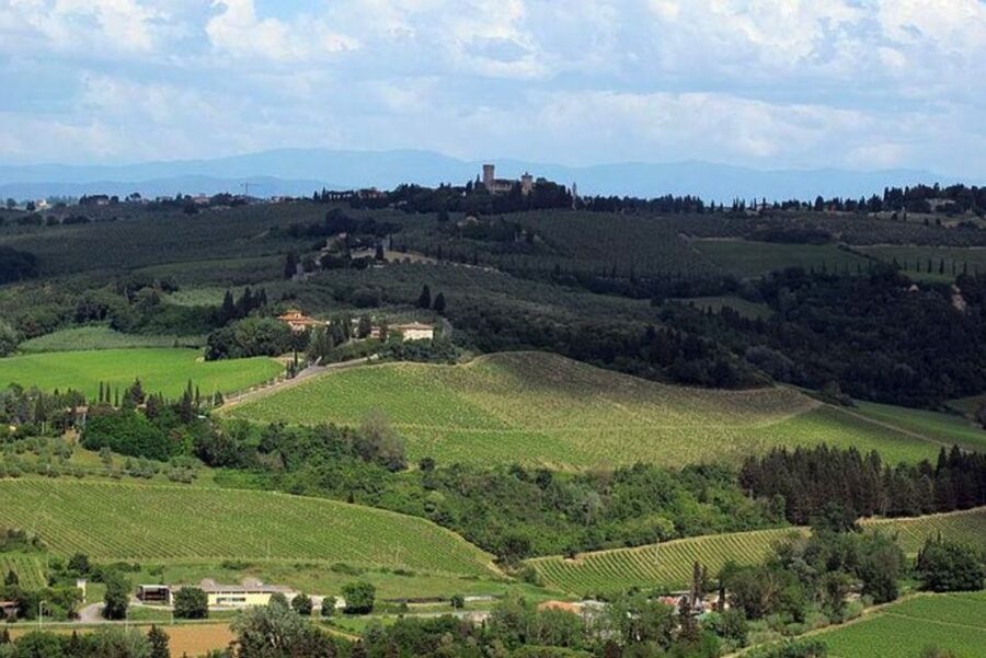 From Florence: Private Wine Tasting Tour in Chianti - Sangiovese and Chianti Classico, the useful lesson