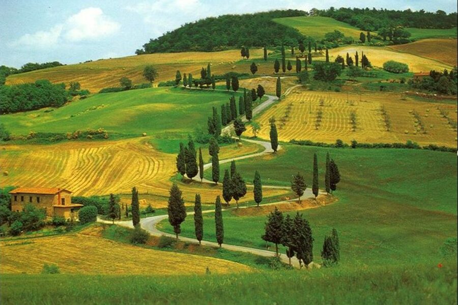 From Florence: Private Wine Tasting Tour in Chianti - The second winery, with lunch on a terrace