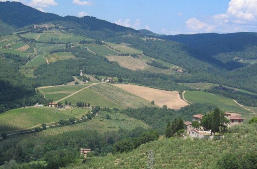 From Florence: Private Wine Tasting Tour in Chianti - Is $586.07 per person a fair price?