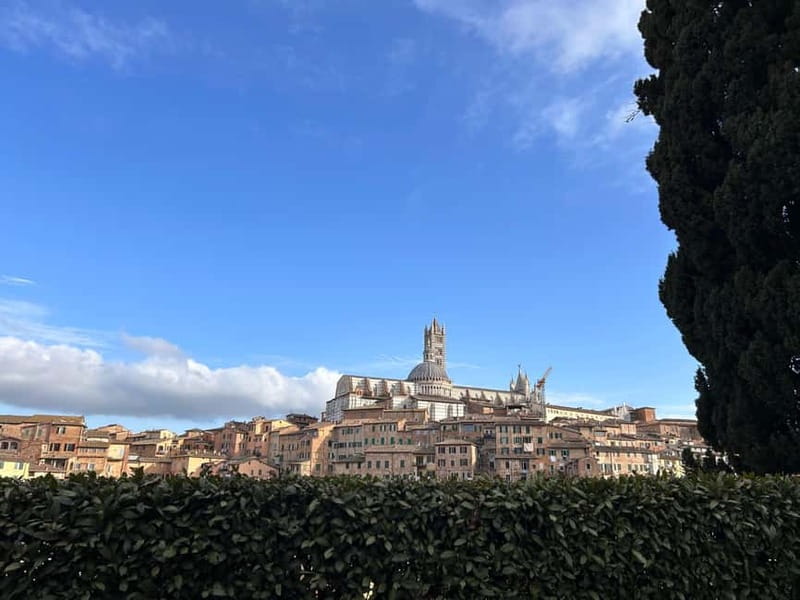 From Florence: San Gimignano, Siena, and Chianti Wine Tour - What this Florence day trip actually delivers