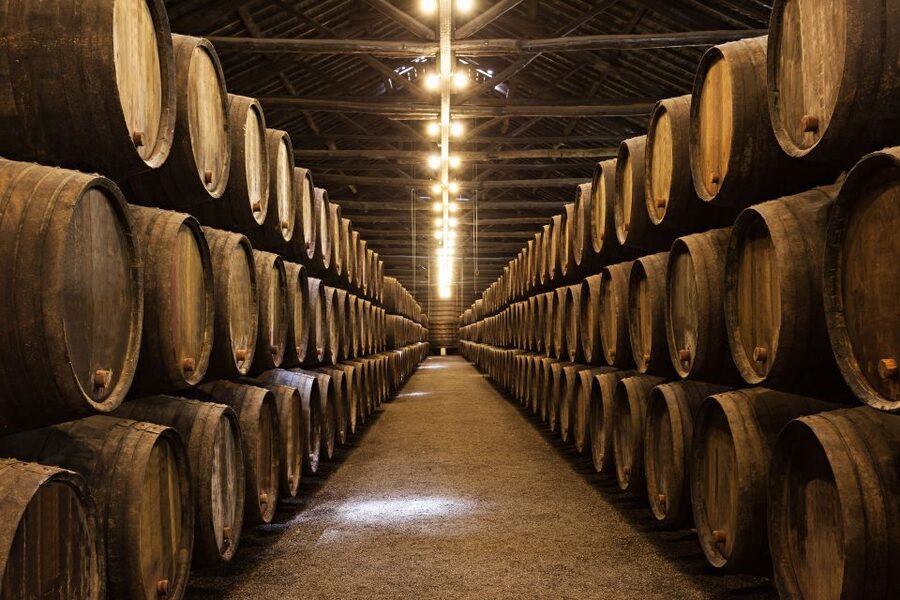 From Florence: Semi Private Deep Wine Chianti San Gimignano - Why this nine-hour day works well