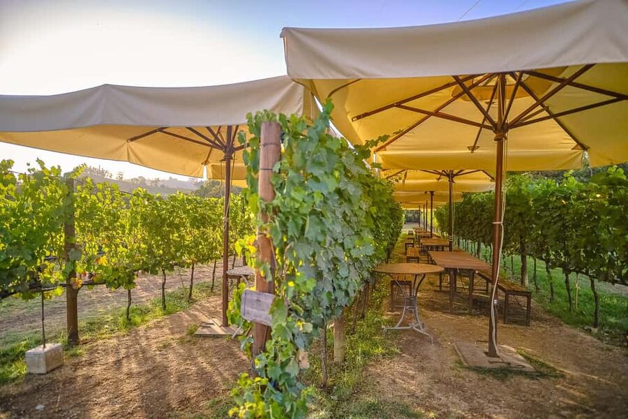 From Florence: Siena and Chianti Day Trip with Dinner - Dinner at a Chianti wine estate