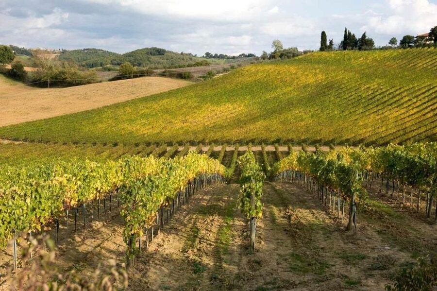 From Florence: Siena & San Gimignano Tour with Wine & Lunch - Guides who shape the day