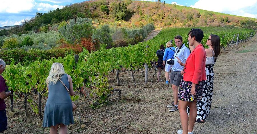 From Florence: Small-Group Chianti Wine Tour 2024 - Key points to know before you book