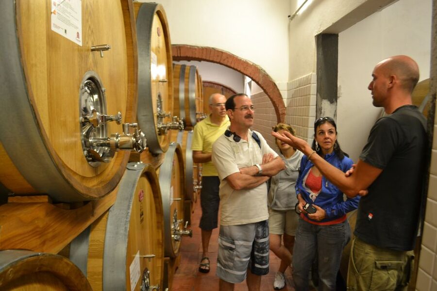 From Florence: Small-Group Chianti Wine Tour 2024 - Should you book this Chianti wine tour?