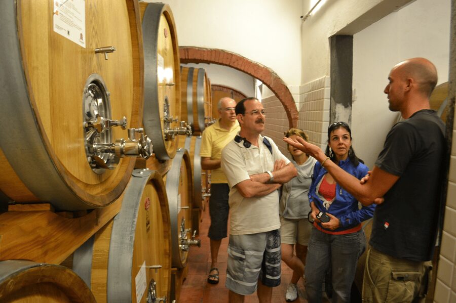 From Florence: Small-Group Chianti Wine Tour 2024 - The afternoon winery and the final tasting