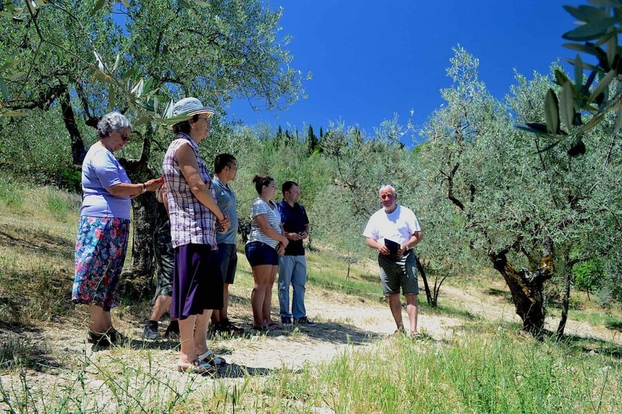 From Florence: Small-Group Chianti Wine Tour 2024 - What to wear and who should skip it