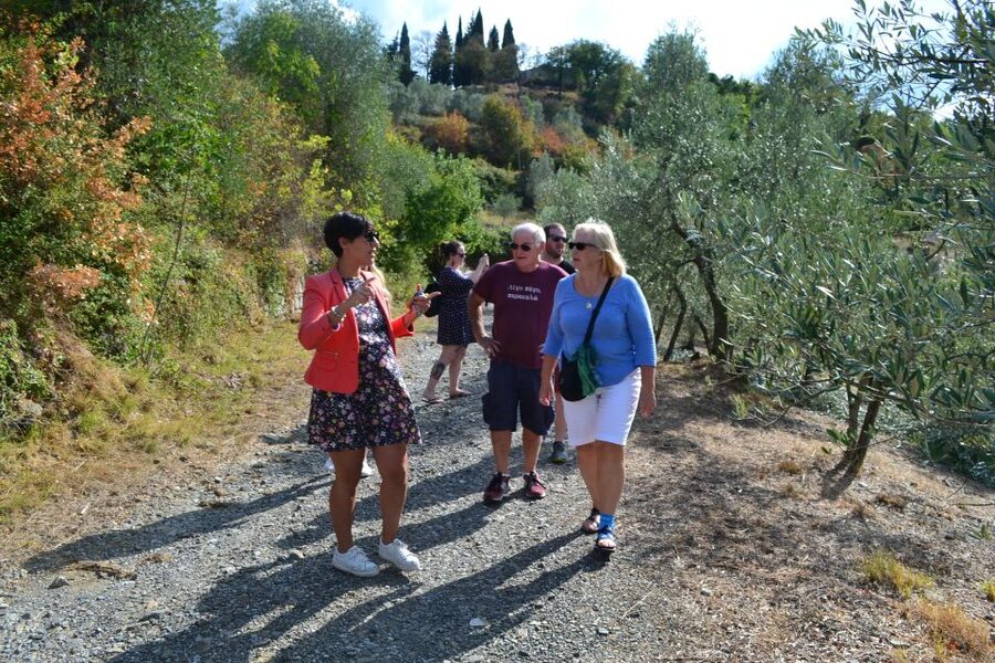 From Florence: Small-Group Chianti Wine Tour 2024 - Is $283.21 a fair price?