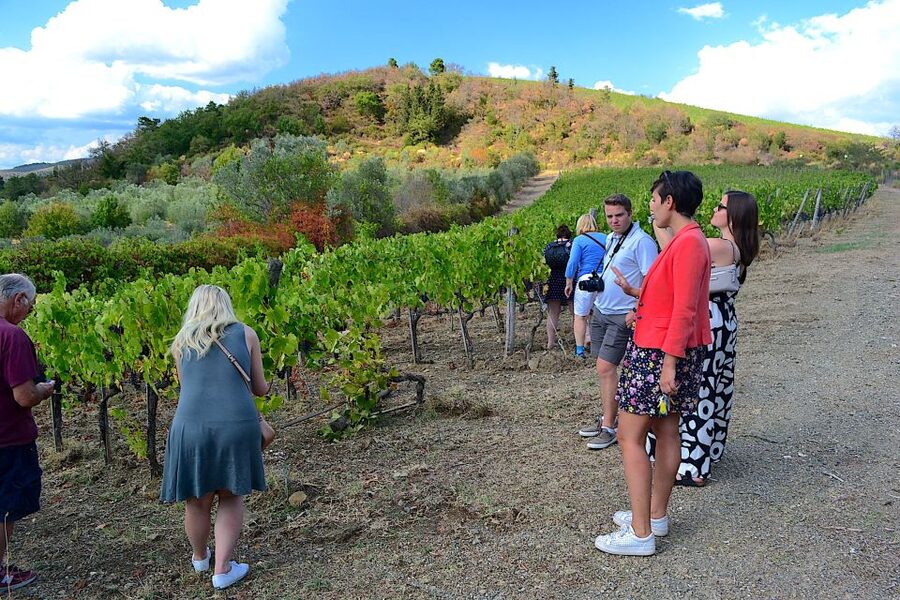 From Florence: Small-Group Chianti Wine Tour 2024 - First winery: cellars, estate wines, and useful instruction