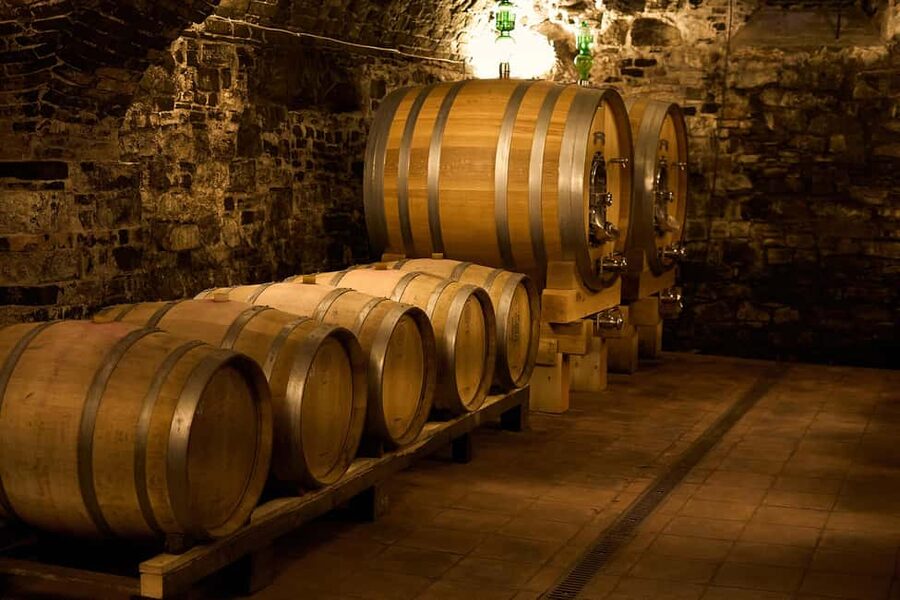 From Florence: Small Group Chianti Wine Tour with Lunch - The first winery, modern design and Tuscan tradition