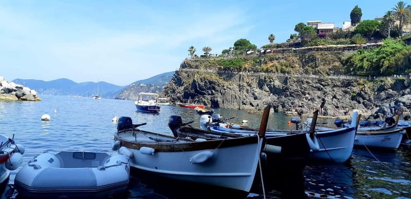 From Florence: Small-group to Cinque Terre and Pisa Day Tour - What the $201.87 price buys you