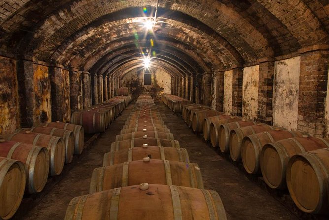 From Florence: Small-Group Tuscany Wine & Oil Tour with typical Tuscan Meal - Wine tasting in the Chianti Classico country