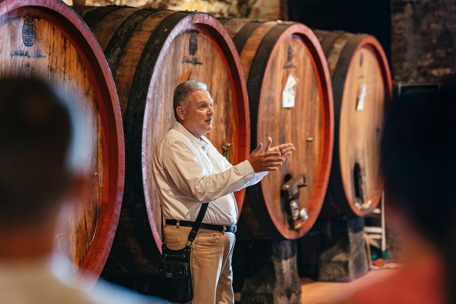 From Florence: Small Group Wine Tasting Tour to Tuscany - What the wine tasting teaches you