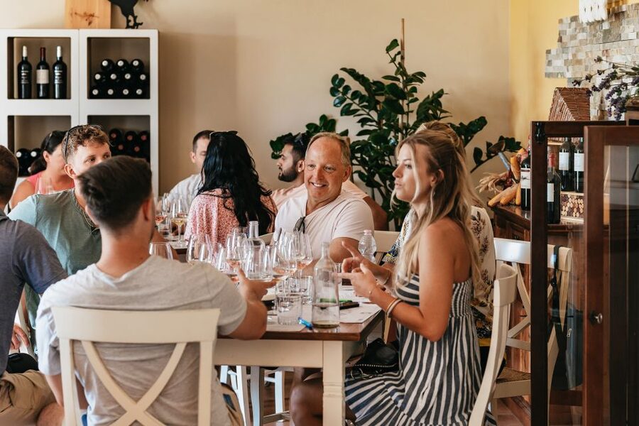 From Florence: Small Group Wine Tasting Tour to Tuscany - Group size, guides, and the social side