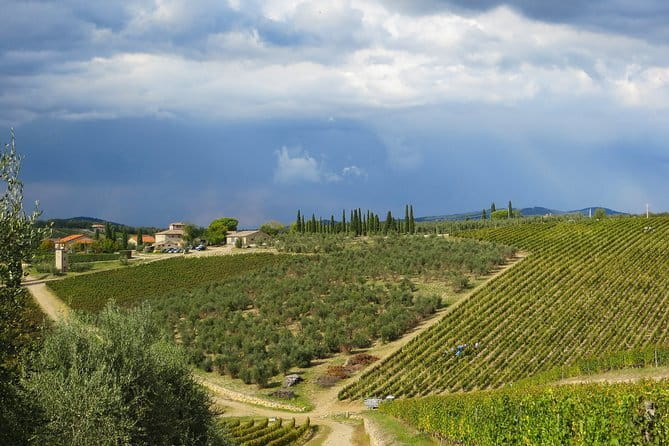 From Florence to Siena - San Gimignano & Pisa by private minivan - Is $623.62 per person a fair price?