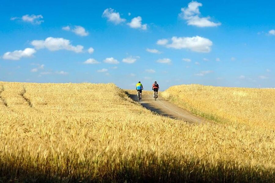 From Florence: Tuscany by E-Bike with Lunch and Wine Tasting - Leaving Florence for the Chianti hills