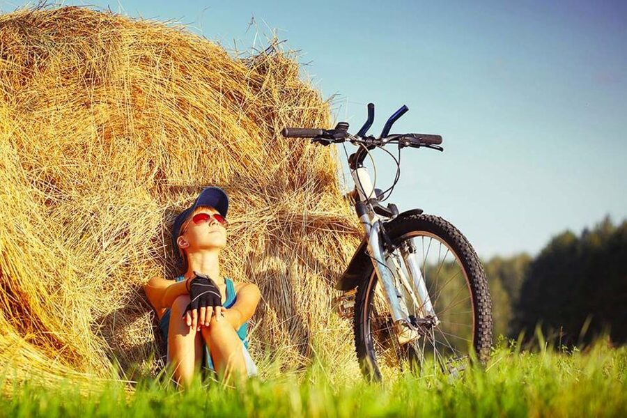 From Florence: Tuscany by E-Bike with Lunch and Wine Tasting - Lunch and wine at a local winery