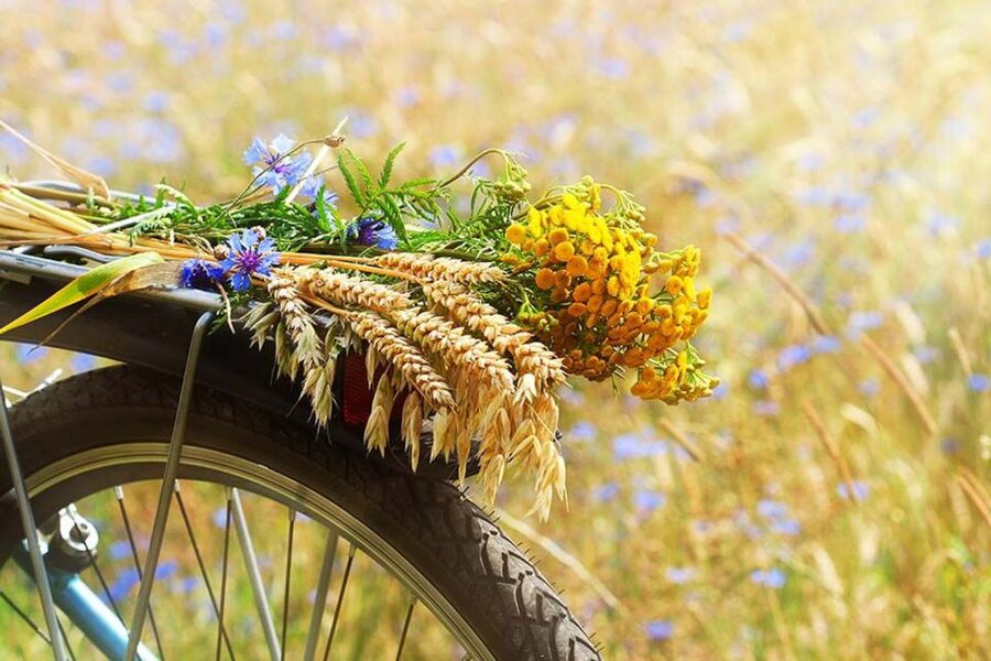 From Florence: Tuscany by E-Bike with Lunch and Wine Tasting - Practical advice for a smoother ride