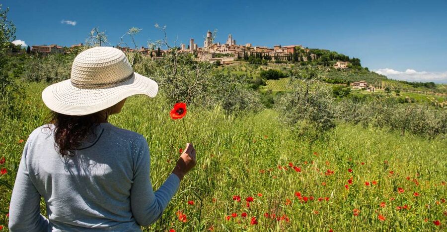From Florence: Tuscany Highlights Full-Day Tour - Pisa and the Square of Miracles