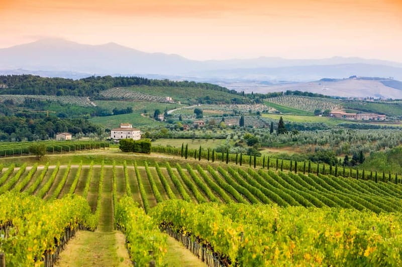 From Florence: Tuscany Wine & Food Tour with Guide - What $175 buys you
