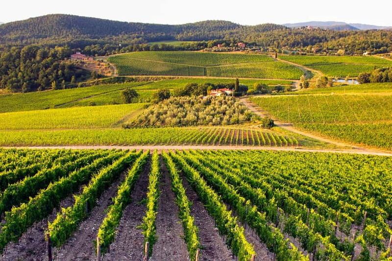 From Florence: Tuscany Wine & Food Tour with Guide - Final verdict: a strong first taste of Chianti
