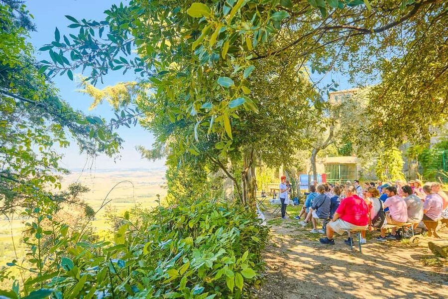 From Florence: Val D'Orcia Tour with Wine Tasting - Should you book it?
