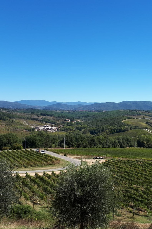 From Florence: Vintage Fiat 500 Chianti & Tuscany Wine Tour - Why the vintage Fiat 500 changes the outing