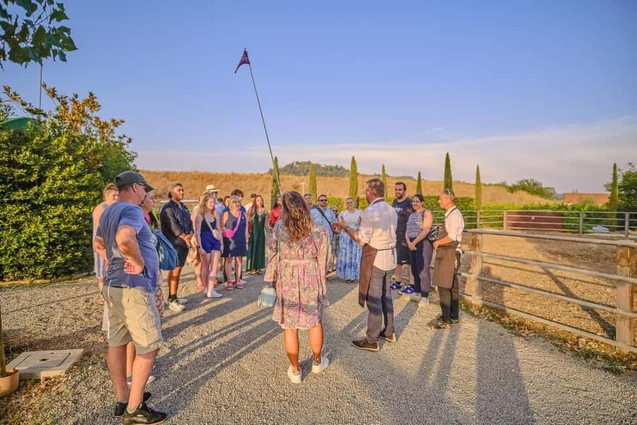 From Florence: Wine Tasting and Dinner in Chianti Vineyards - Guides, group pace, and transport