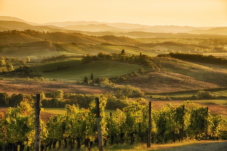 From Rome: Discover Florence and Pisa in a Full-Day Tour - A very full day from Rome to Tuscany