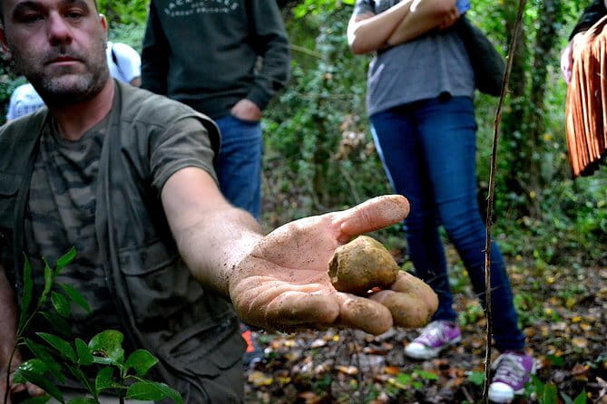 Full-Day Small-Group Truffle Hunting in Tuscany with Lunch - Who will enjoy this Tuscan day trip most