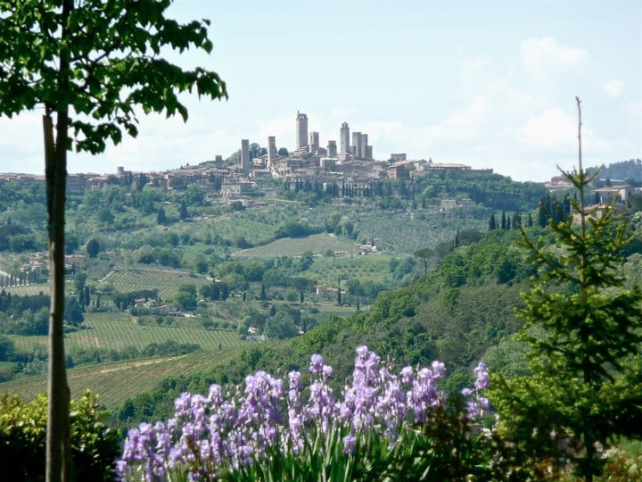 Full-Day Tour of Tuscany from Florence-small group up 8 pax - Should you book it?