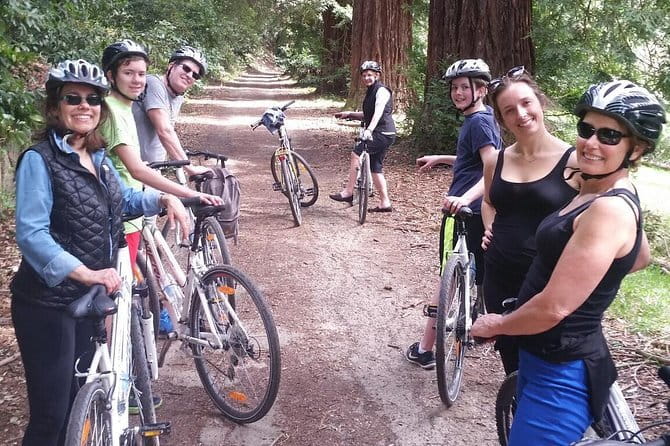 Full-Day Tuscan Countryside Bike Tour - Who should book this Tuscany bike tour?