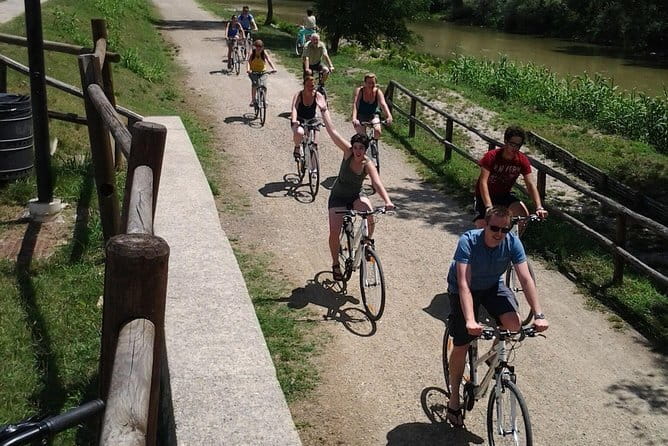 Full-Day Tuscan Countryside Bike Tour - Rolling hills, vineyards, and olive groves