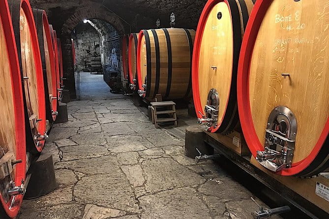Full-Day Tuscany Castles Tour with Wine Tasting from Florence - Castello del Trebbio: cellars before the tasting