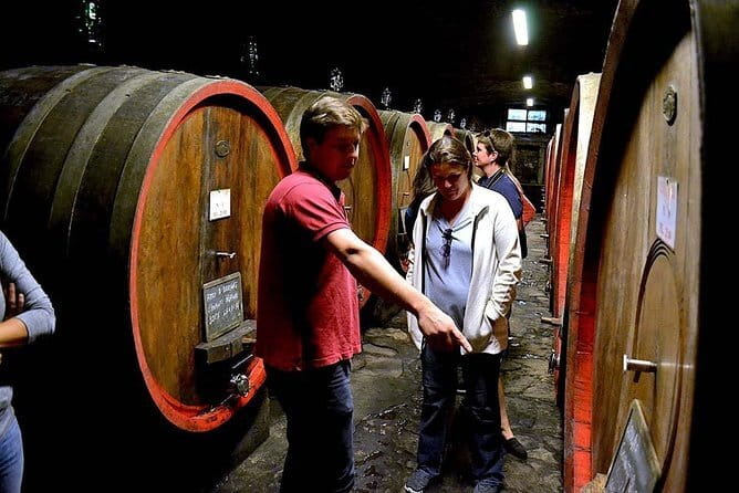 Full-Day Tuscany Castles Tour with Wine Tasting from Florence - What the wine education is really like
