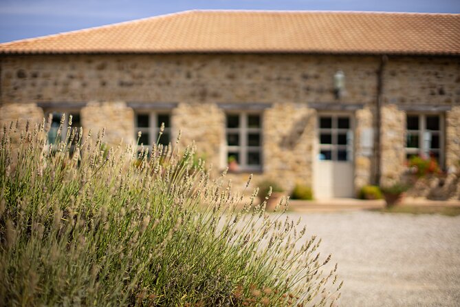 Gourmet Wine & Food Tasting - Who will enjoy this experience most?