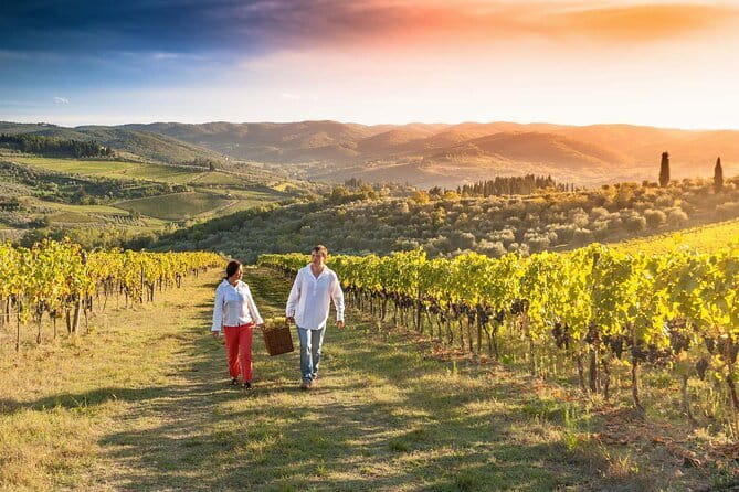 Grape Stomping and Wine Tasting in Tuscany - A private visit with room for your group