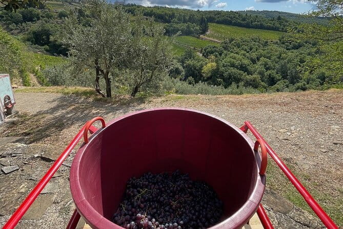 Grape Stomping and Wine Tasting in Tuscany - Wine tasting with Chianti on the table