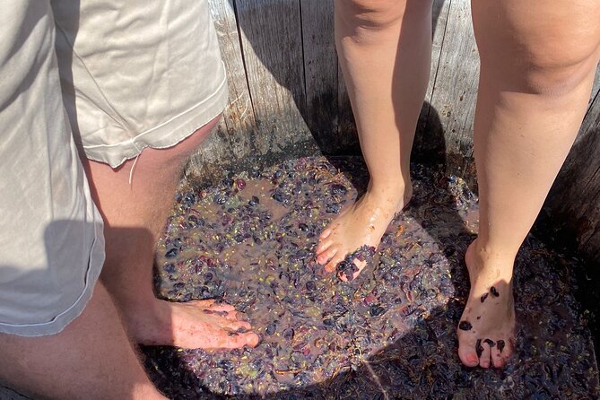 Grape Stomping Experience and Wine Tasting - Finding Cantine Guidi 1929 near Florence