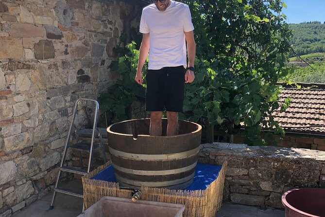 Grape Stomping Experience and Wine Tasting - What changes during harvest season