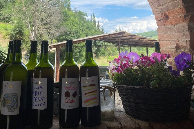 Grape Stomping Experience and Wine Tasting - Tasting the juice you help create