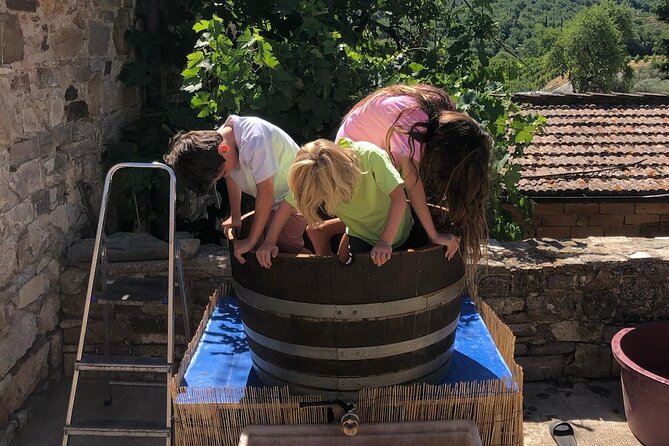 Grape Stomping Experience and Wine Tasting - Starting with a cellar tour