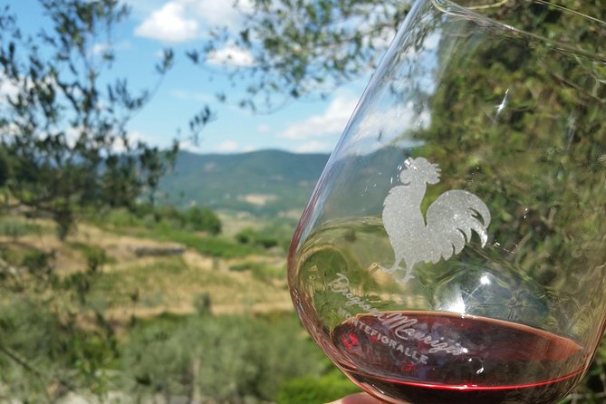 Greve in Chianti Wine Tasting and Winery Tour - Key points to know before you book